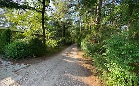 Comfortabel Tot Rust Komen In Het Veluwse Bos
